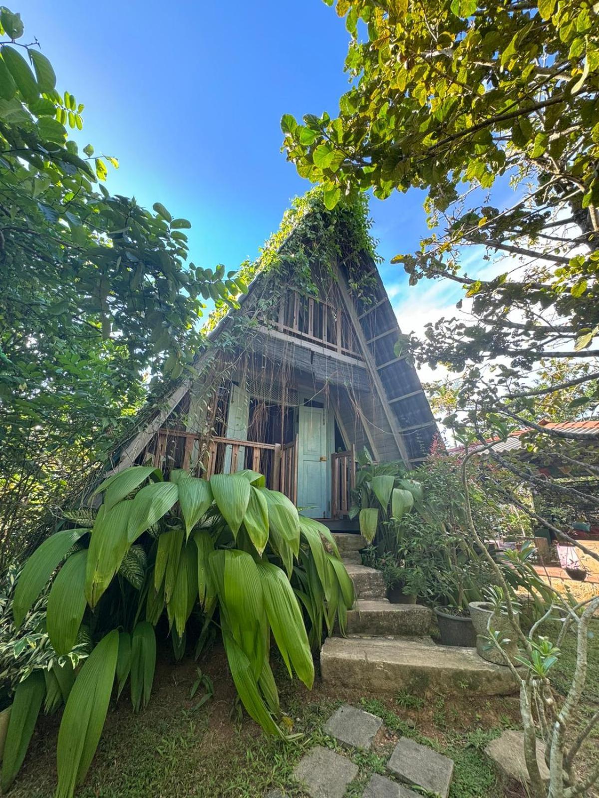 Villa Ovita Талпе Екстер'єр фото